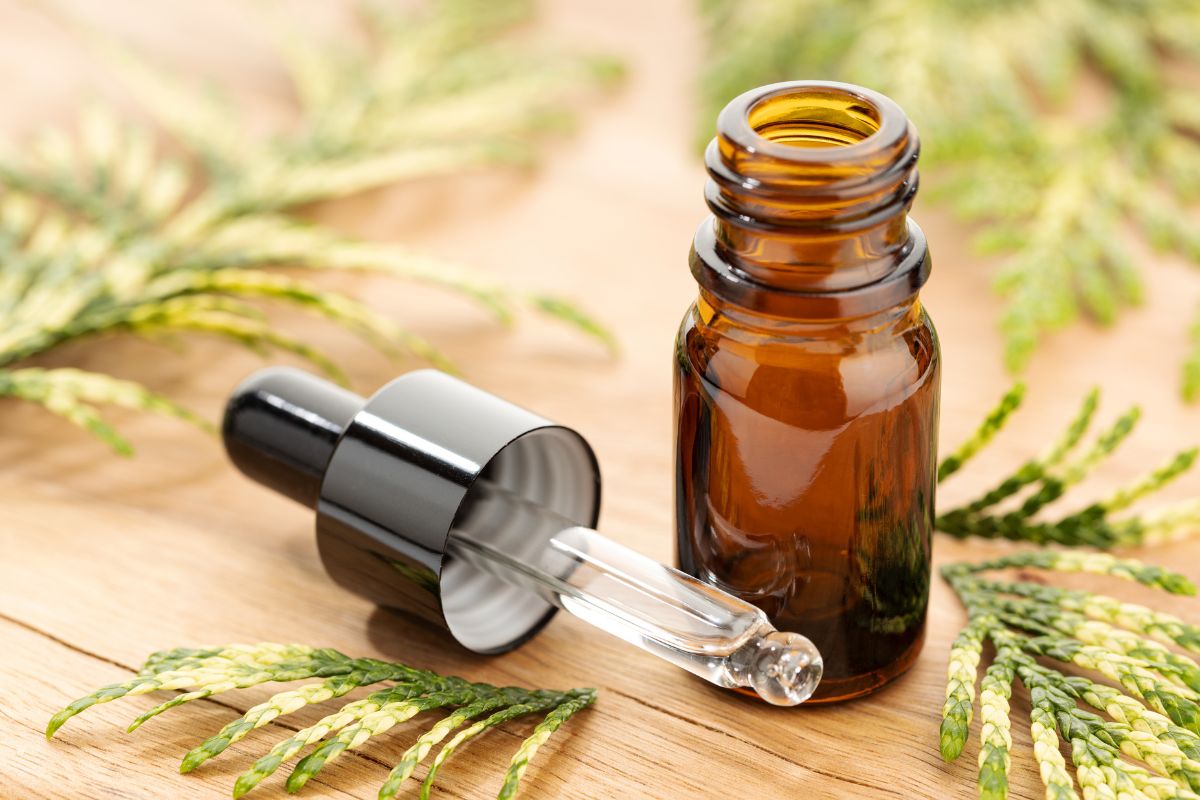 huile essentielle cyprès bio
