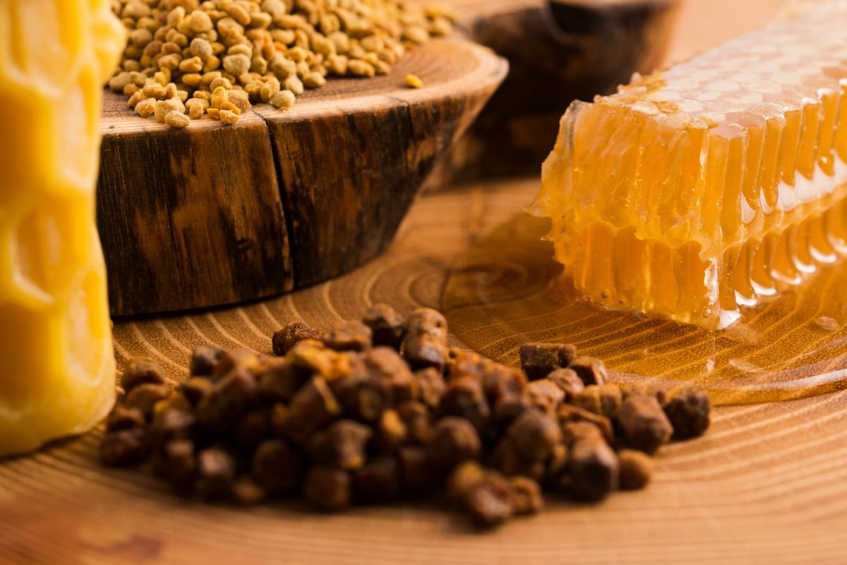 Propolis noire