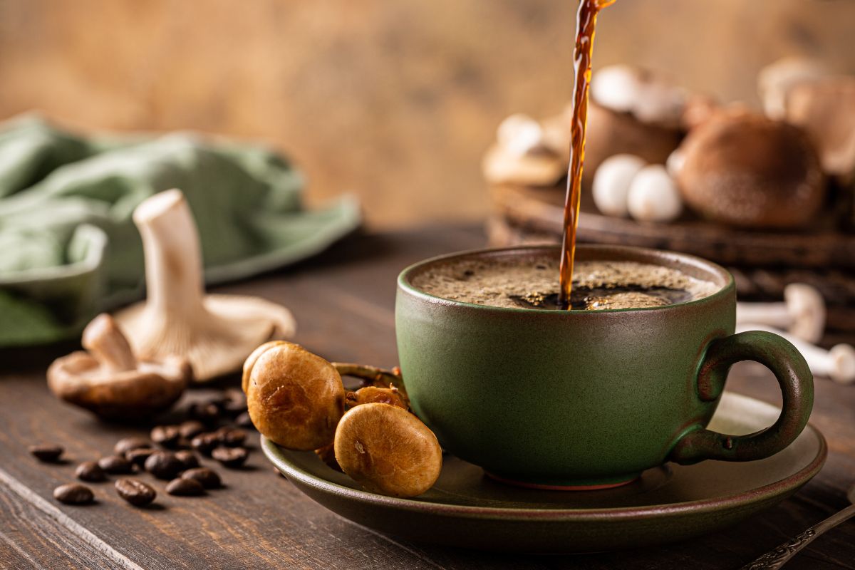 café adaptogène - cafe aux champignons