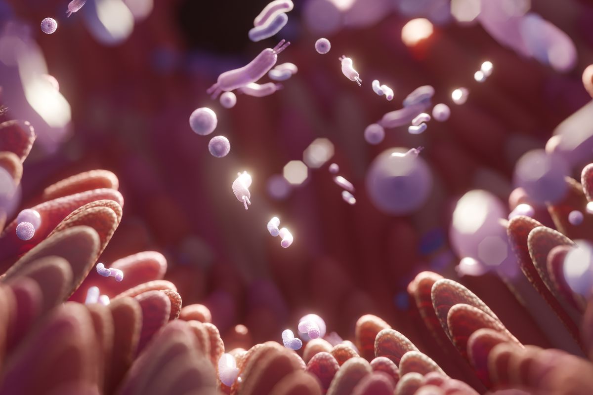 Flore intestinale